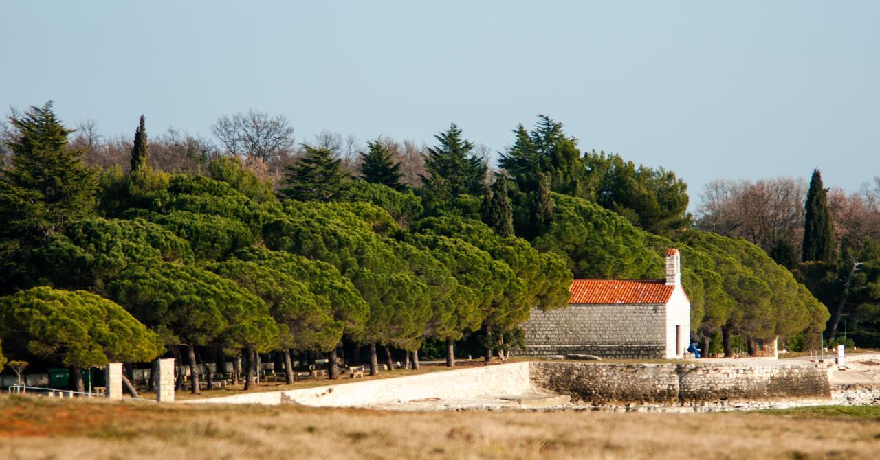 And Degra * Umag